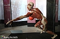 VBS_2942 - Mostra Body Worlds